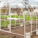 How to Construct Your Own Greenhouse